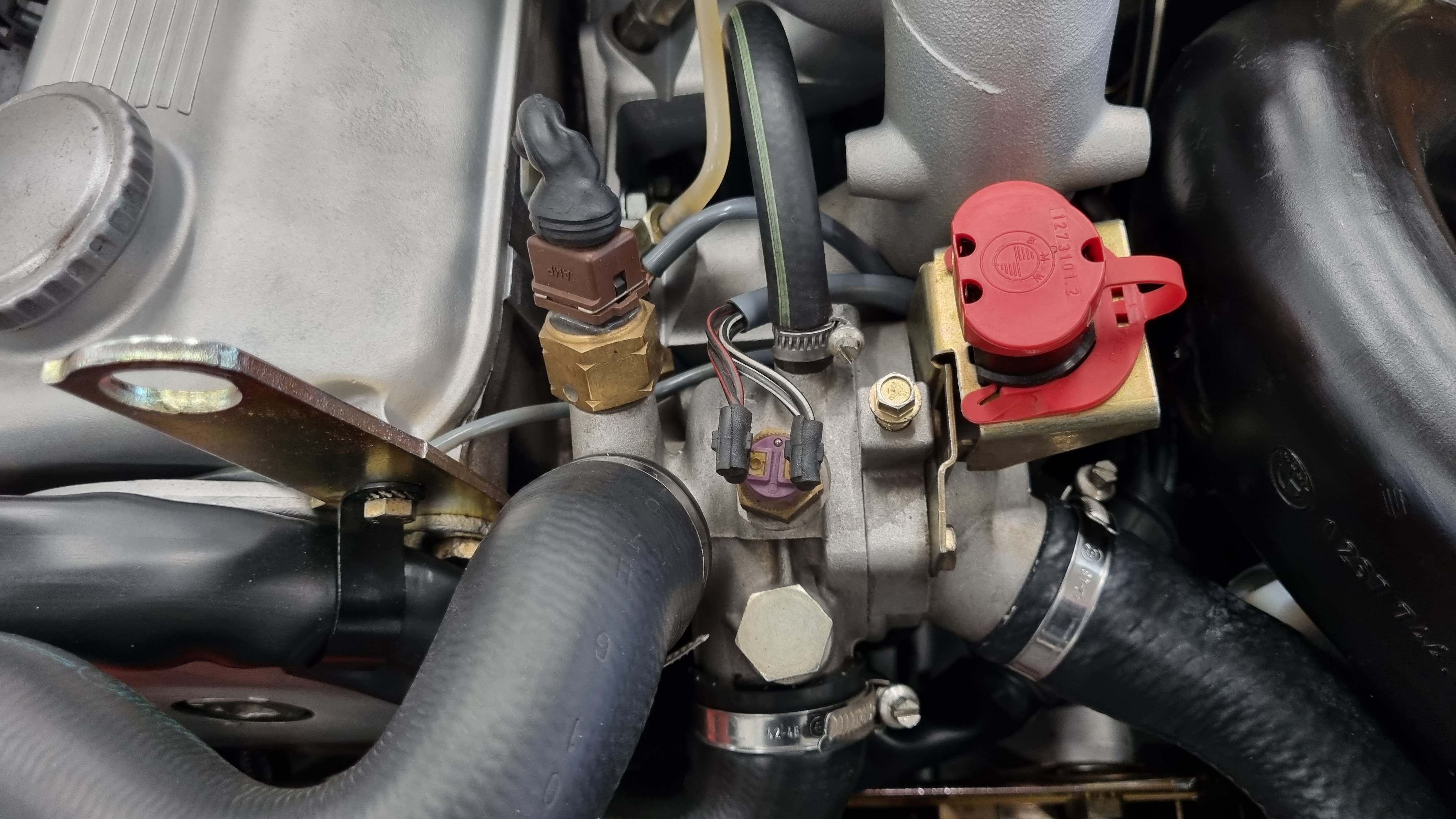 2025-06-11 13.05.25.jpg